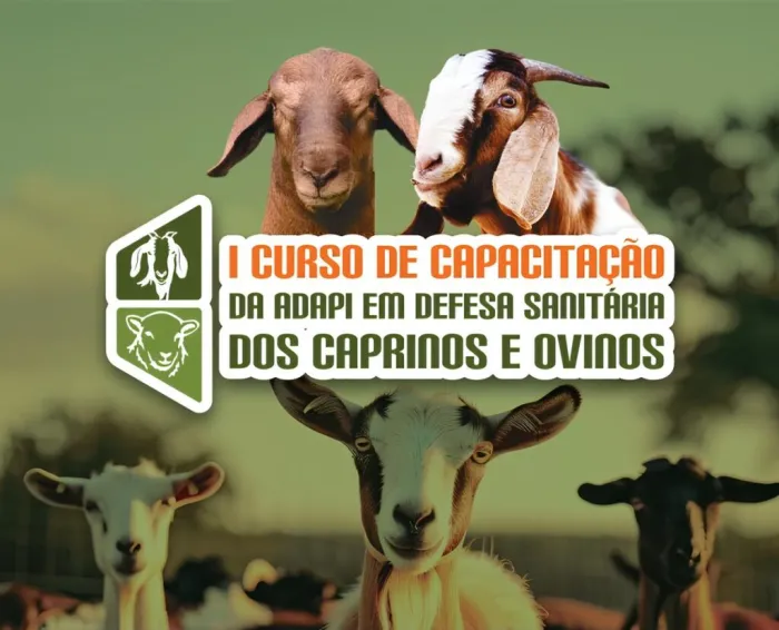 Adapi realiza curso de capacitação em defesa sanitária de caprinos e ovinos nesta terça (18)