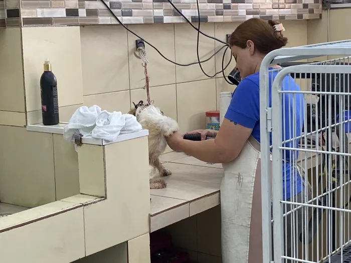 Foto: Reprodução/Secom SP