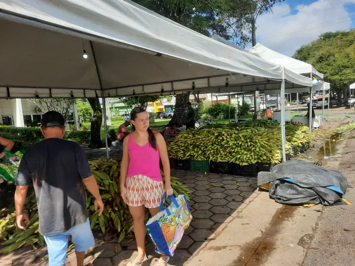 Vendas começam a crescer na Feira de Milho da Empasa com a proximidade do São João