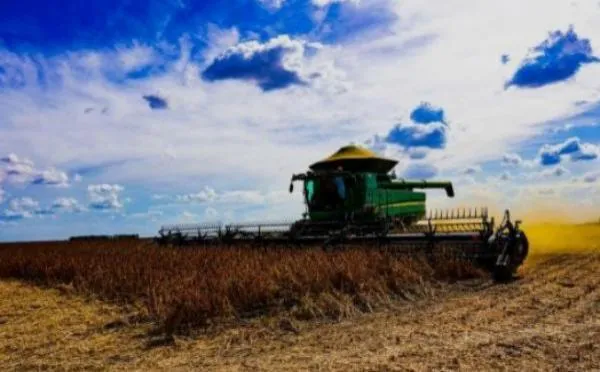Abertura nacional da colheita do milho segunda safra será na quarta-feira, 18