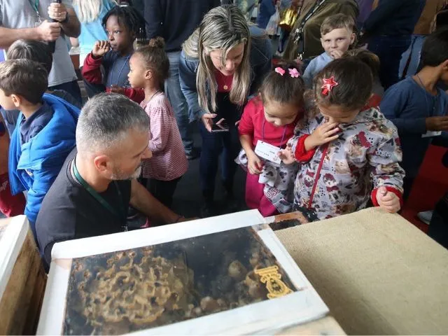 Foto: Reprodução/Secom SC