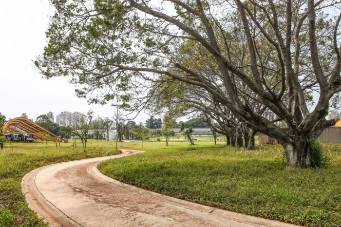 Foto: Reprodução/Secom SP