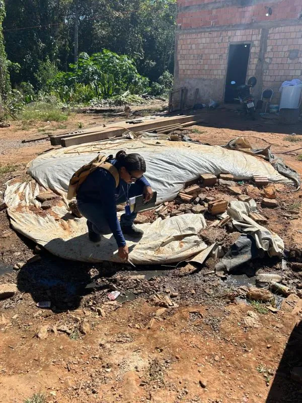 Vigilância Ambiental intensifica monitoramento do Aedes aegypti com ovitrampas