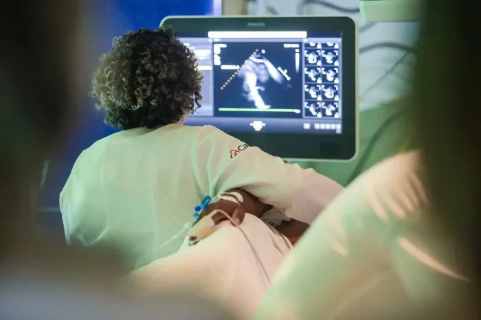 Foto: Pedro Guerreiro / Ag. Pará