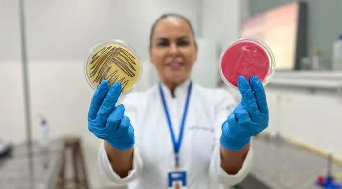 ITPS alerta para cuidados com alimentos durante os festejos juninos