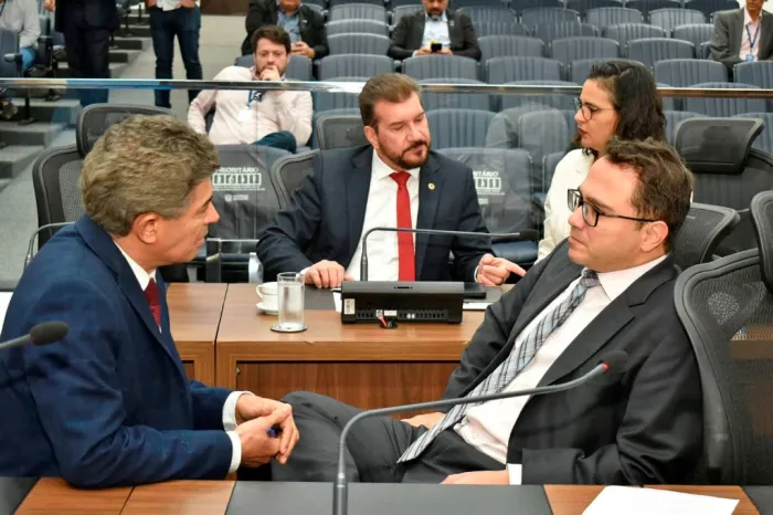 Ordem do Dia: Ampliação da divulgação do Protocolo Não é Não é aprovada