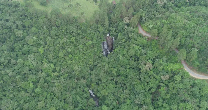 Reserva Biológica Estadual da Canela Preta comemora 45 anos de história e preservação