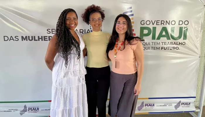 Sempi articula estratégias para aprimorar coleta de dados do programa Pró-Equidade de Gênero, Raça e Diversidade