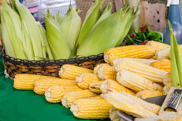 Festival do Milho da Cecaf é opção de produtos de qualidade e preços acessíveis