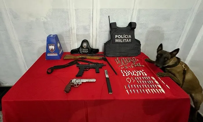 Foto: Reprodução/Polícia Militar - ES
