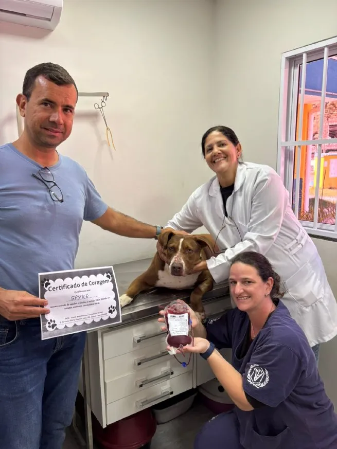 Campanha ‘Sangue Bom Pra Cachorro’ recebe doação de animal resgatado e à espera de adoção no CCZ