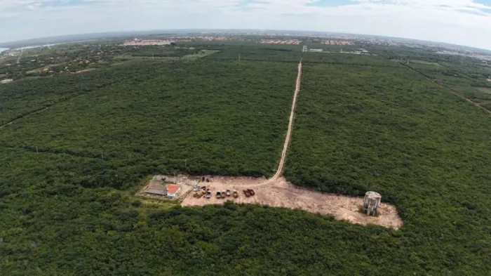 Rafael Fonteles aposta no hidrogênio verde como motor da transição energética mundial
