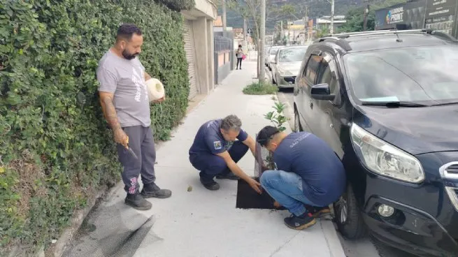 Vila Amélia recebe plantio de espécies nativas em ação do Programa de Arborização Urbana