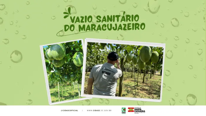 Foto: Reprodução/Secom SC