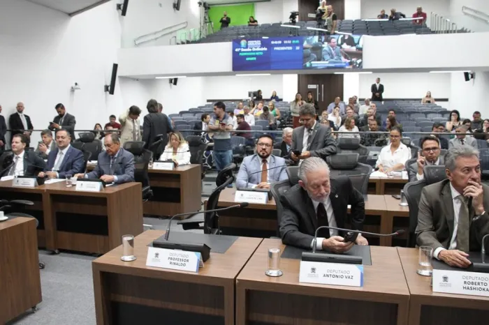 Pautada redação final de proposta que fortalece a campanha “Não é Não”