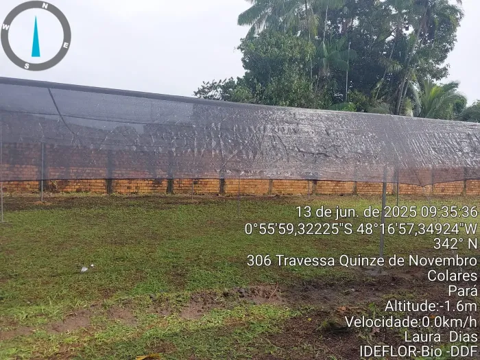 Viveiro montado pelo Ideflor-Bio em Colares fortalece produção de mudas