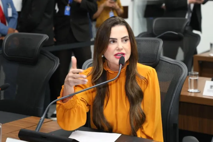 ALEMS homenageia câmaras pioneiras na implantação de Escolas do Legislativo