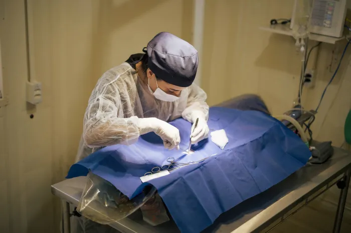 Mais de 4.500 castrações de cães e gatos foram realizadas em Lucas do Rio Verde