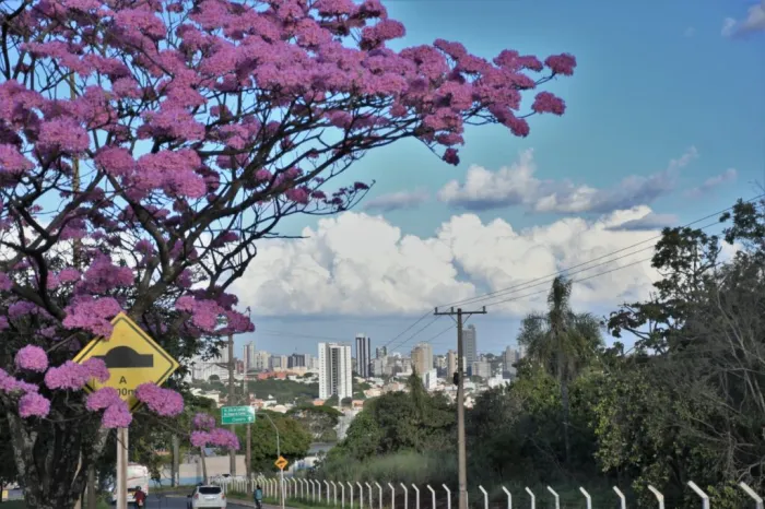 Semana tem avanços em habitação, obras e mobilidade
