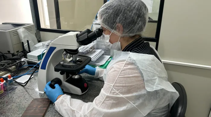 Lacen realiza análises para diagnóstico de esporotricose humana e animal
