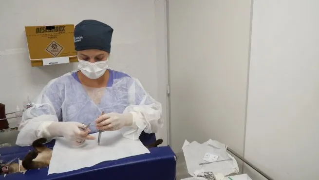 PATA Móvel realiza mutirão e castração especial neste fim de semana em Juquehy