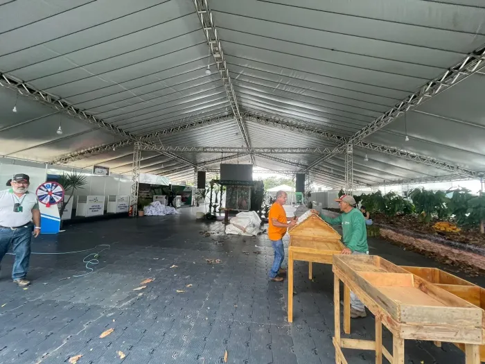 Foto: Mateus Costa Sedap