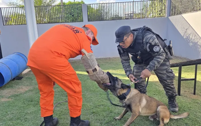 Segurança Pública: Prefeitura deve implantar Núcleo de Operações com Cães em Lucas