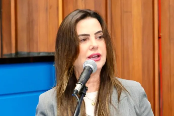 Mara Caseiro cobra nova ponte de concreto na MS-229 em Chapadão do Sul