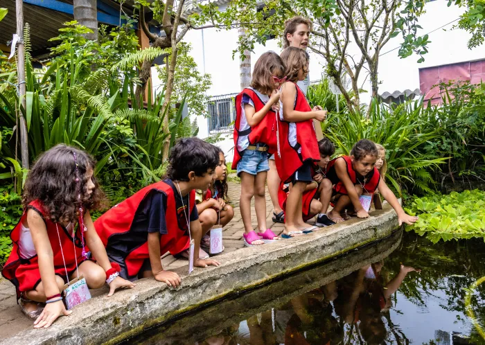 Curso de férias “Mundo dos Animais Peçonhentos” oferece aventura e conhecimento para crianças em Bertioga
