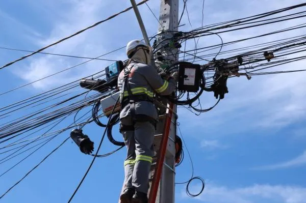 Medidas legais reforçam protocolo para limpeza da rede elétrica