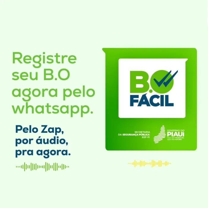 Foto: Reprodução/Secom Piauí