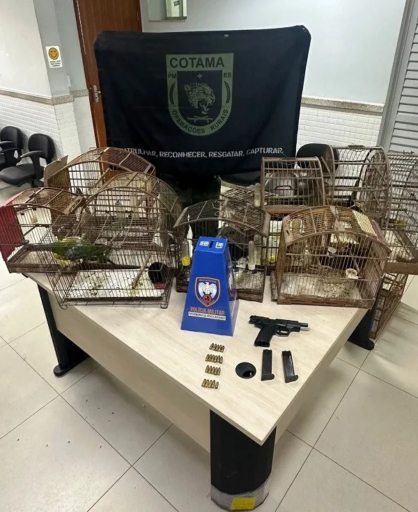 BPMA apreende arma de fogo, munições e pássaros silvestres em Cariacica