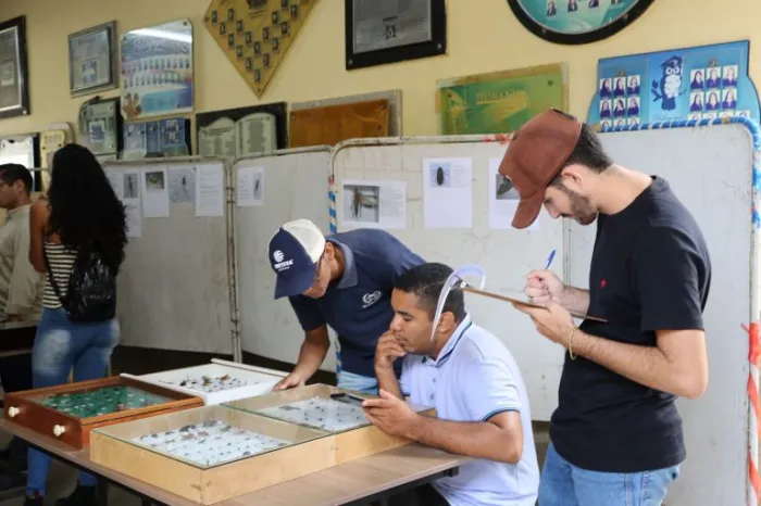 Centro de Ciências Agrárias da Uespi promove primeira exposição entomológica com conhecimentos sobre pragas agrícolas