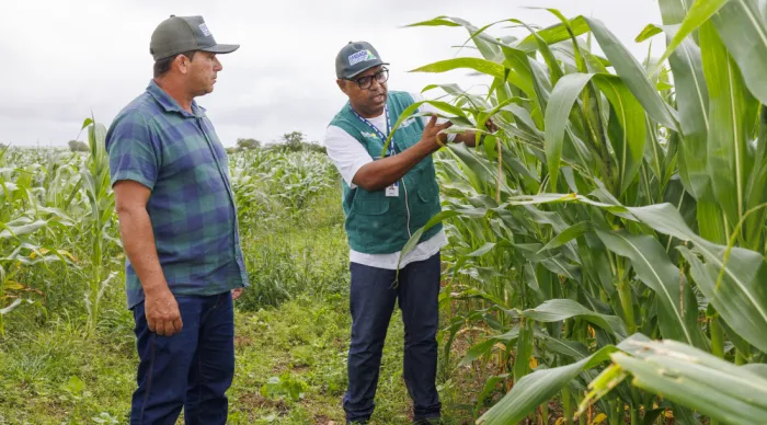 Programa Sementes do Futuro fortalece agricultura familiar e dá dignidade a pequenos produtores em Sergipe