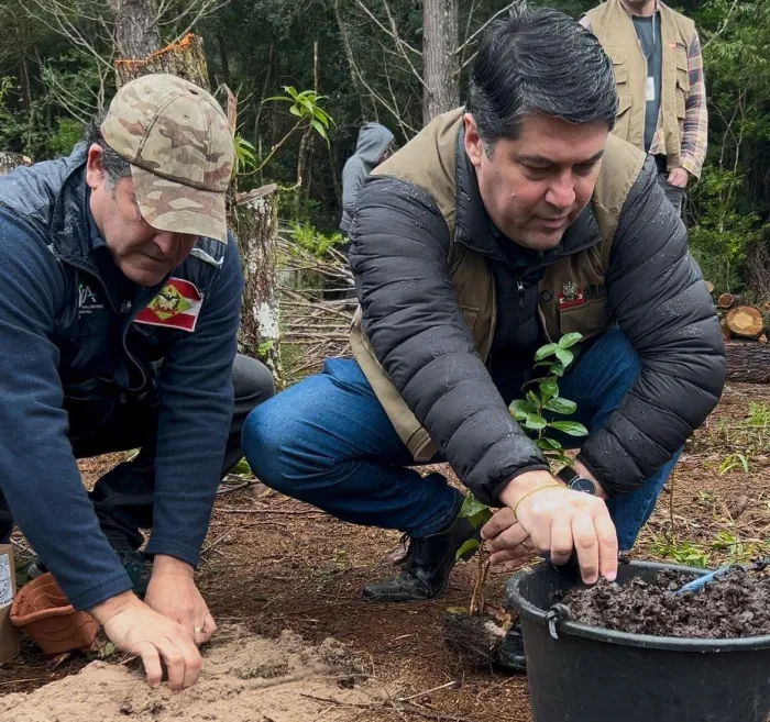 Parque do Rio Vermelho recebe plantio de novas mudas de espécies nativas