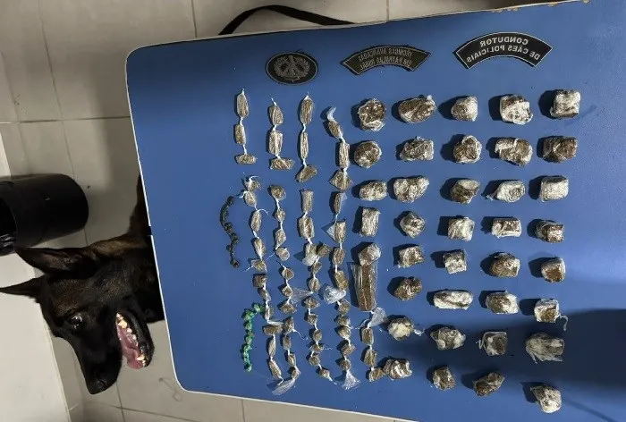 13º BPM apreende drogas em São Mateus