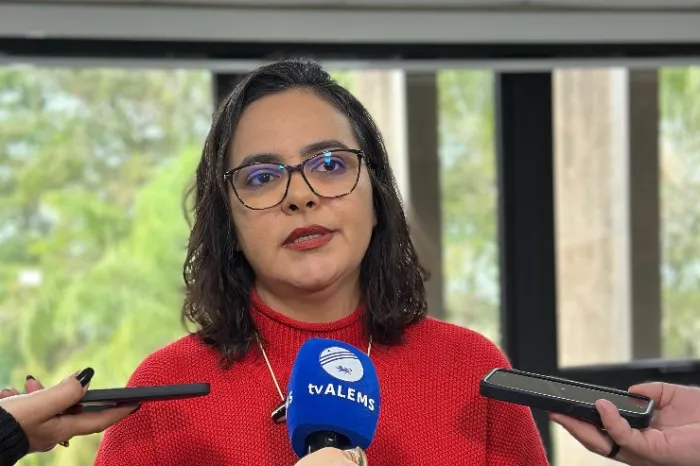 Deputada Gleice Jane destaca importância da valorização da educação básica durante reunião