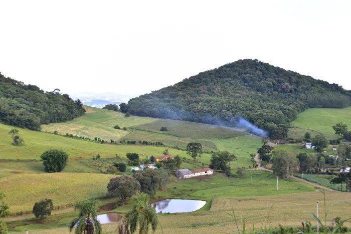 Com incentivo do Estado, produtor catarinense pode ter financiamento com juro zero no Plano Safra