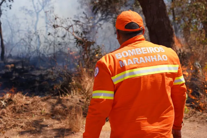 Maranhão Sem Queimadas avança em ações preventivas de combate a incêndios florestais no estado