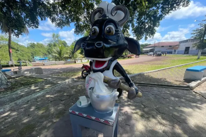 Foto: Mateus Costa/Ascom