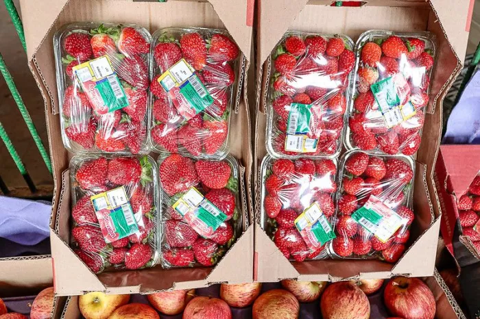 Foto: Reprodução/Prefeitura de Caruaru - PE