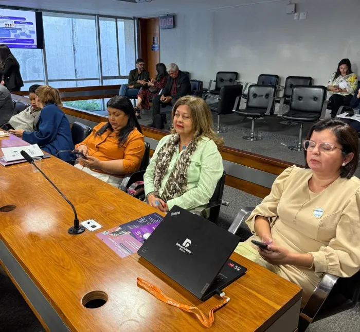 Sempi participa da audiência no Senado sobre criação da Rede Nacional de Observatórios da Mulher