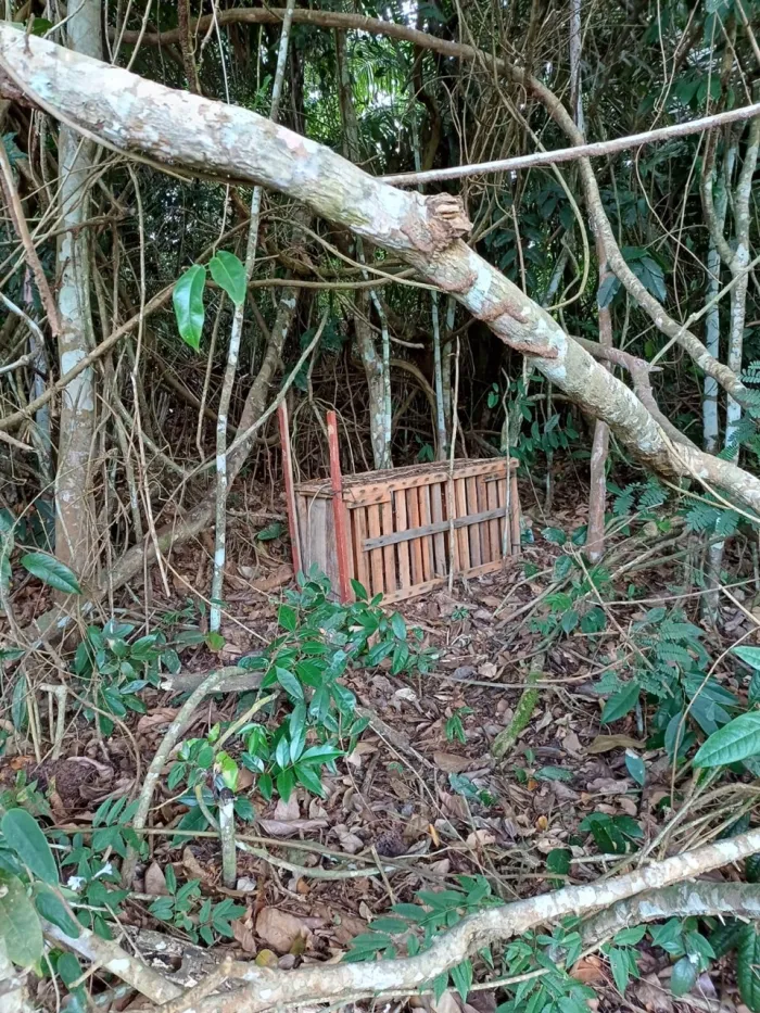 Iema e Polícia Militar Ambiental apreendem armadilha de caça na Área de Proteção Ambiental Pedra do Elefante