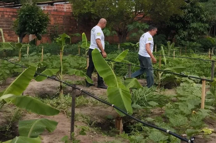 Sada realiza visitas técnicas para fortalecer a agricultura em Cocal
