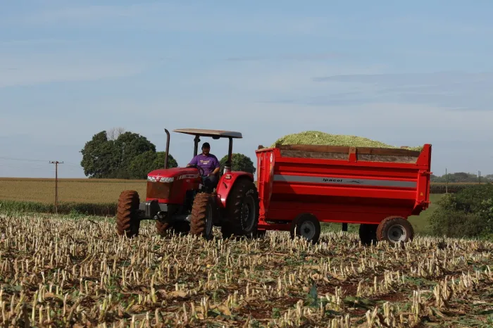 Prefeitura seleciona agricultores familiares para distribuição gratuita de fertilizante orgânico