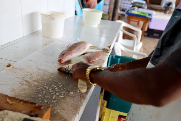 Fotos: Wuiga Rubini/GOVBA