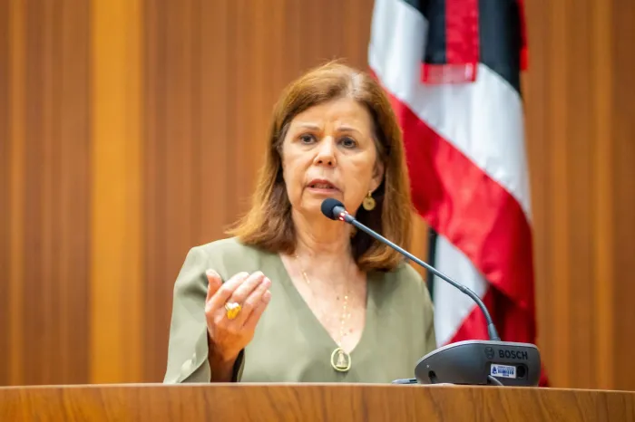 Em pronunciamento na tribuna, deputada Helena Duailibe deixou uma mensagem de reconhecimento e respeito aos bombeiros maranhenses