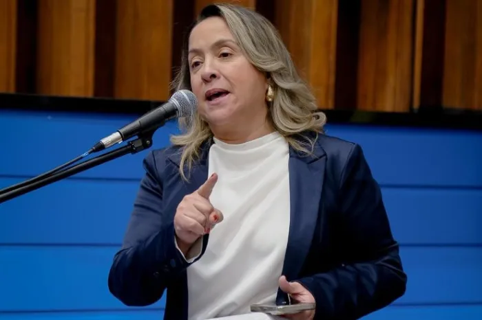 Lia Nogueira pede providências do Governo após queda de caixa d’água na Aldeia Jaguapiru