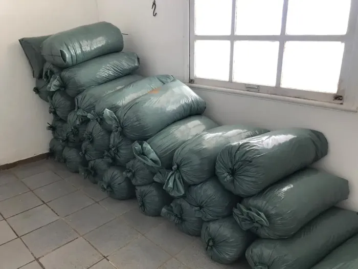 Foto: Mateus Costa/Sedap