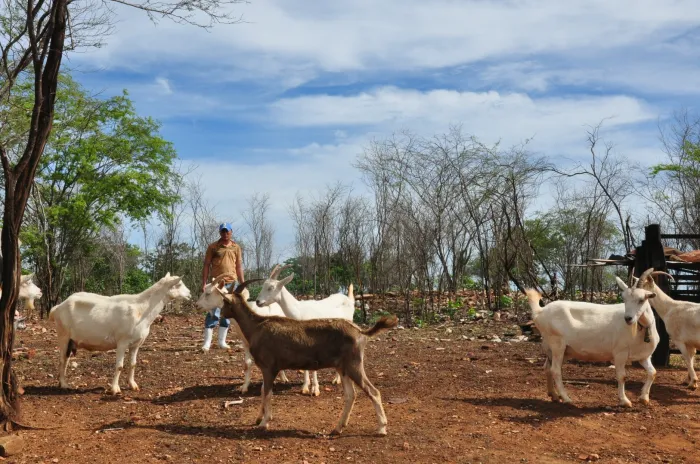 Foto: Reprodução/Secom Paraíba